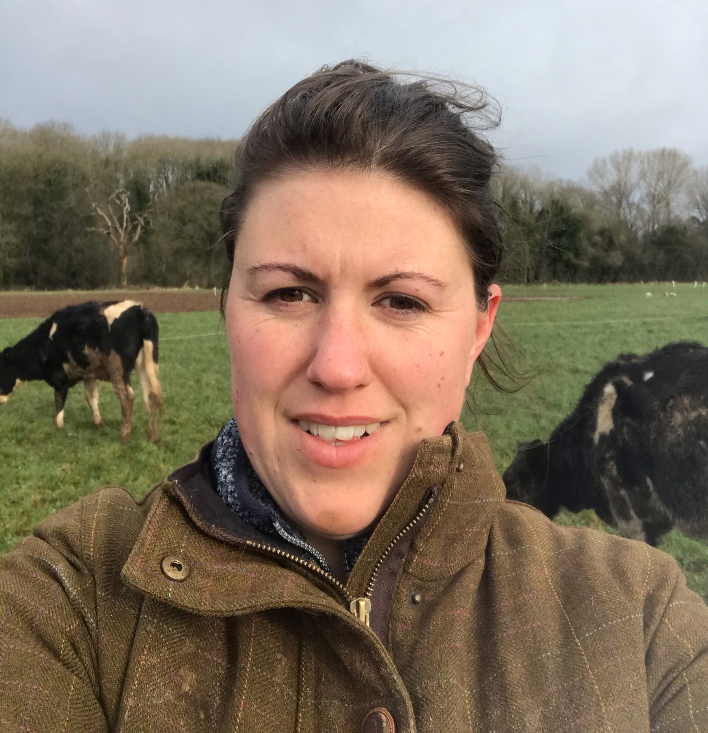 Female dairy farmer standing in a fields with two cows in the background